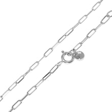 Load image into Gallery viewer, Michael Kors Sterling Silver Premium Pave Empire Link Pendant With Chain